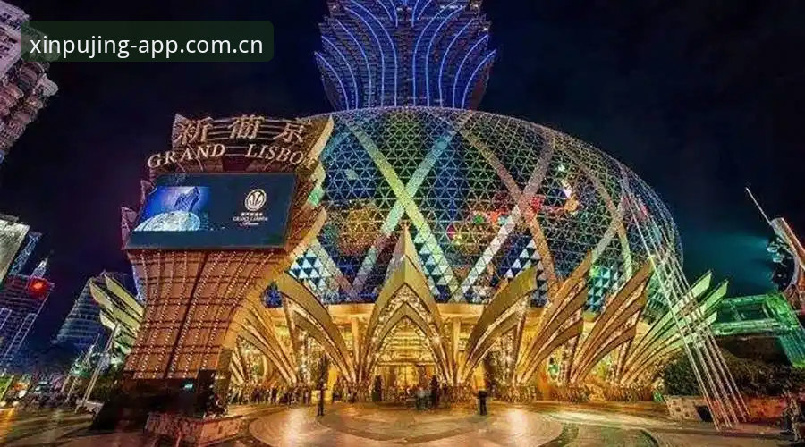 新浦京娱乐平台视角：足球管理决策的完整指南——从贝纳蒂亚的拉比奥签约事件看职业体育的领导力法则